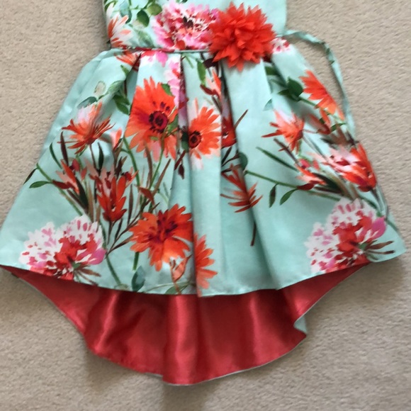 Beautiful Dress - Picture 3 of 10